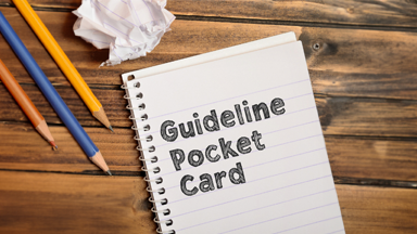 guideline pocket card